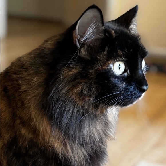 Meet your Posher, Kimberly - Picture 1 of 2